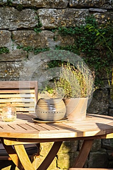 Clay pot with herbs on wooden table