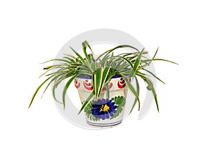 Clay pot painted with a plant of Chlorophytum comosum