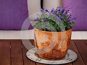 Clay pot with small bells on table