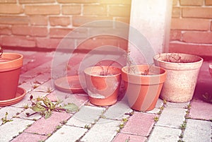 Clay pots on garden pavement.Gardening concept.High quality photo