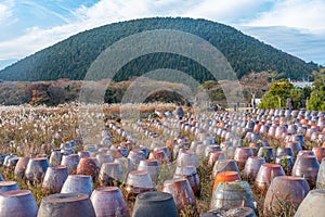 Clay pottery at Jeju stone Park, Republic of Korea