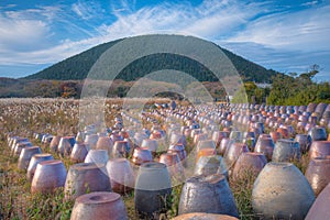 Clay pottery at Jeju stone Park, Republic of Korea