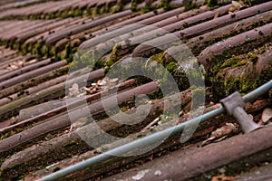 Clay Roof Shingles European German Moss Dirty Old Shed Top Close