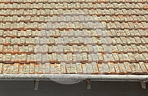 Clay Roof Tiles Covered in Lichen with Peeling Gutters