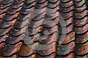 Clay roof tiles in red with moss and lichen.