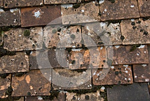 Clay tiles with moss and discoloration.