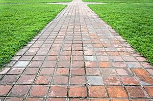 Clay Tiles Walkway and grass