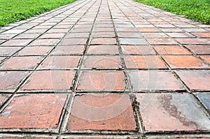 Clay Tiles Walkway and grass