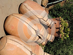 Clay vases (amphors)