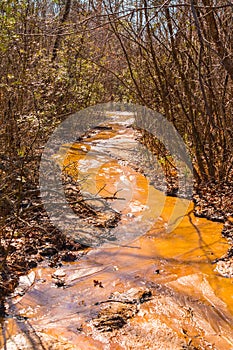 Clay watercourse in Providence Canyon State Park, Georgia, USA