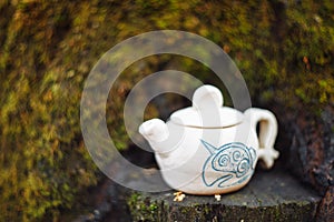 Clay white teapot with blue pattern in the forest on the stump. Handwork