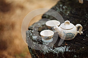 Clay white teapot with blue pattern and two drinking bowls in the forest on the stump. Handwork