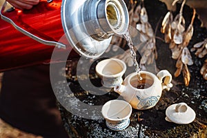 Clay white teapot with blue pattern and two drinking bowls in the forest on the stump. Pour water from a thermos