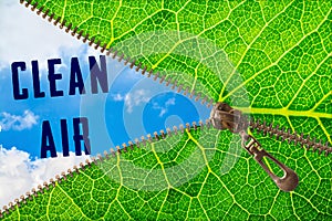 Clean air word under zipper leaf