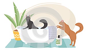 Clean animals vector illustration with cute cat washing in bath