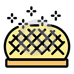 Clean bbq net icon vector flat
