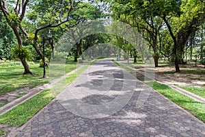 Clean brick pathway along in the urban park.