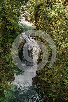 Clean clear water on a fast mountain creek