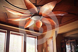 clean fan blades with sunlight filtering through