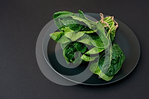 Clean food concept. Bunch of leaves of fresh organic spinach greens in a plate on a black background. Healthy detox spring-summer