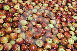 Clean and fresh apples on conveyor belt in food processing facility