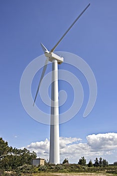 Clean green energy, windturbine in Portu