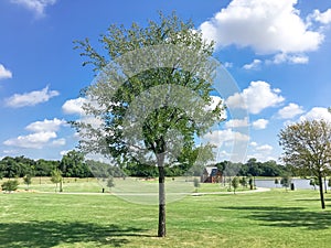 Beautiful lakeside park with community pavilion in Coppell, Texas, USA