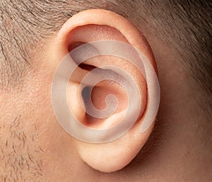 Clean human ear close up