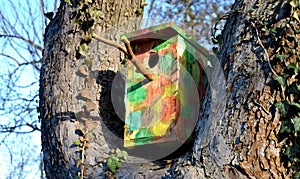 Clean and inspect the birdhouse before each placement. Place dry booths without defects on a tree or elsewhere where desired. beek