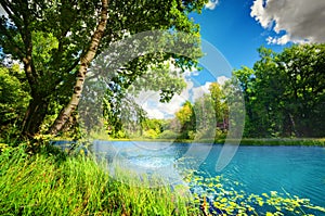 Clean lake in green spring summer forest