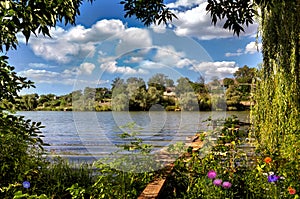 Clean lake in green spring summer forest