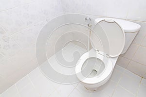 A clean modern toilet bowl and rising spray. White toilet bowl in a bathroom