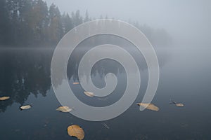 Clean picturesque forest lake on foggy autumn morning