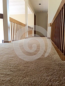 Clean plush carpet in hallway