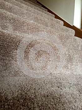 Clean plush carpet on stairs