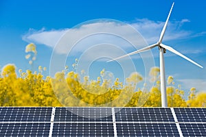 Clean, renewable energy concept, yellow canola field, solar panels and wind generator