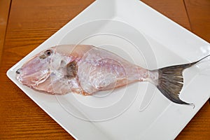 Clean and seasoned PeroÃ¡ fish (Balistes capriscus) . photo