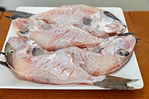 Clean and seasoned PeroÃ¡ fish (Balistes capriscus) . photo