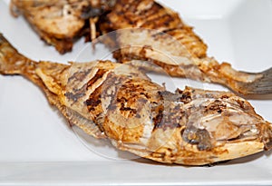 Clean and seasoned PeroÃ¡ fish (Balistes capriscus) . photo