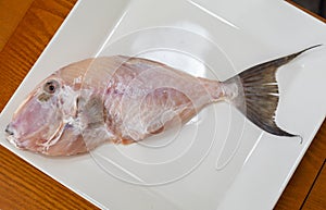 Clean and seasoned PeroÃ¡ fish (Balistes capriscus) . photo