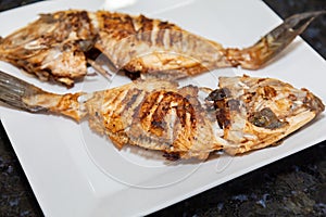 Clean and seasoned PeroÃ¡ fish (Balistes capriscus) . photo