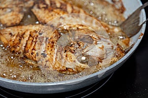 Clean and seasoned PeroÃ¡ fish (Balistes capriscus) . photo