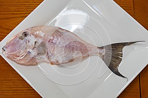 Clean and seasoned PeroÃ¡ fish (Balistes capriscus) . photo