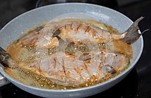 Clean and seasoned Peroá fish (Balistes capriscus) .