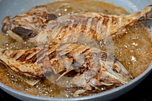 Clean and seasoned Peroá fish (Balistes capriscus) .