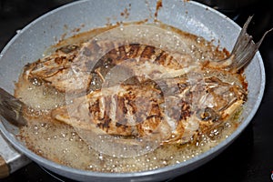 Clean and seasoned Peroá fish (Balistes capriscus) .