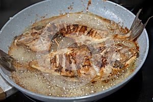 Clean and seasoned Peroá fish (Balistes capriscus) .