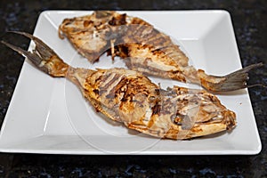 Clean and seasoned Peroá fish (Balistes capriscus) .