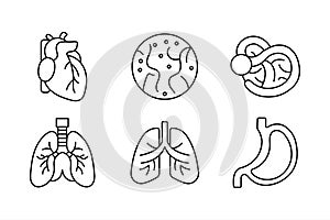 Human Organ Icons Set - Line Art