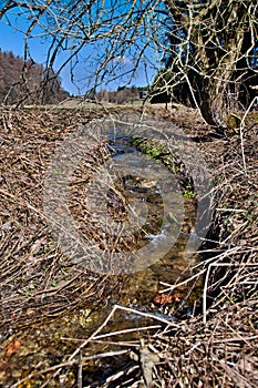 Clean spring water stream